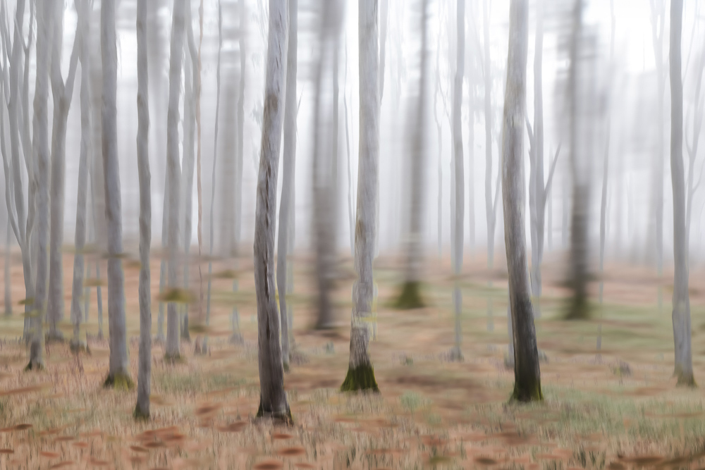 Platz 6 Conny Kleiner